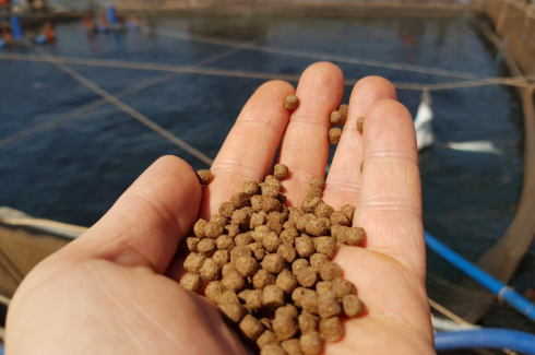 Thumbnail image for Smart Moisture - Improving  cost and efficiency of aquafeed production